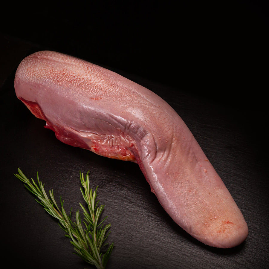 Angus Zunge - Angus - Beef Loxten
